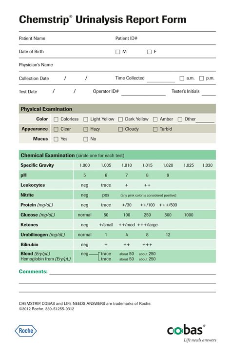 clinical laboratory urine analyzer troubleshooting|master urinalysis lab report.